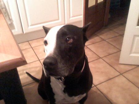 onyx